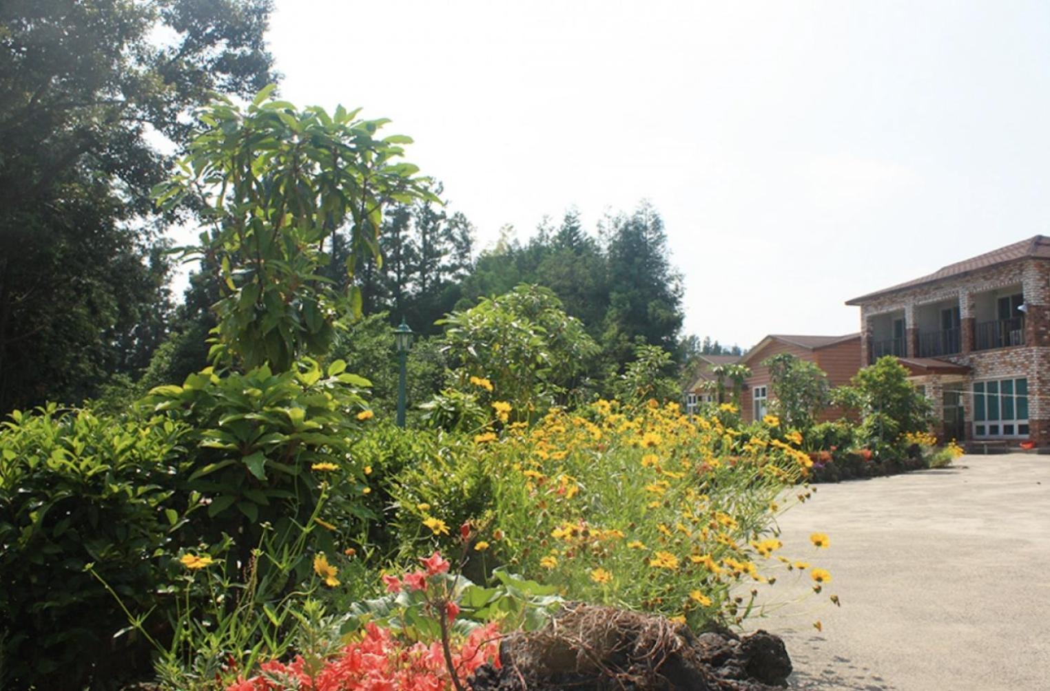 Jeju Ts Youth Hostel & Resort Seogwipo Zewnętrze zdjęcie